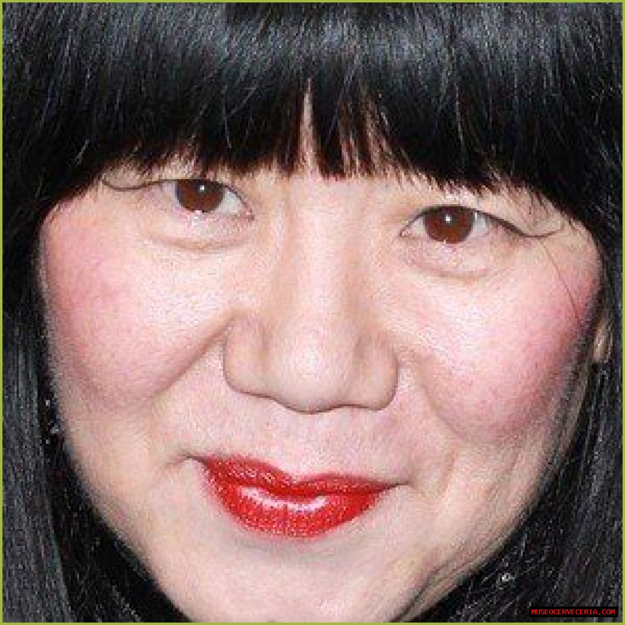 Anna Sui (Fashion Designer) - Age, Birthday, Bio, Facts, Family, Net Worth, Height & More