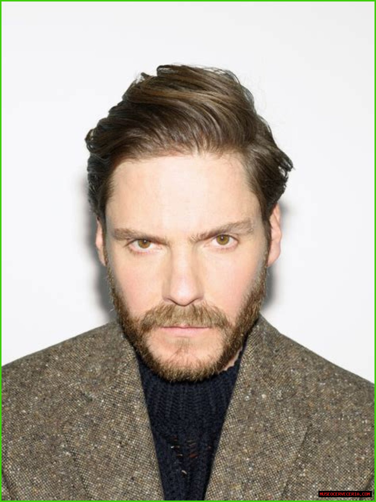 Daniel Brühl’s net worth, biography, fact, career, awards and life story