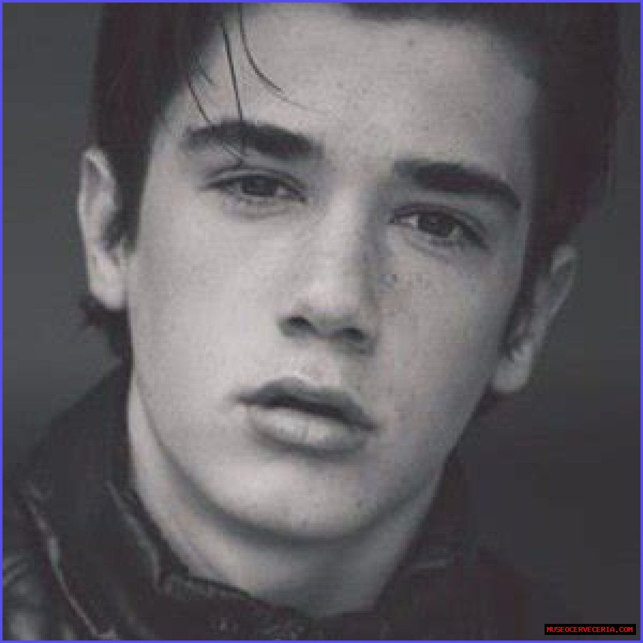 Daniel DiMaggio (TV Actor) - Age, Birthday, Bio, Facts, Family, Net Worth, Height & More