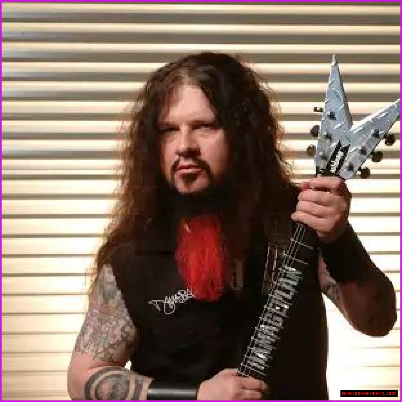 Dimebag Darrell Net Worth, Income, Salary, Earnings, Biography