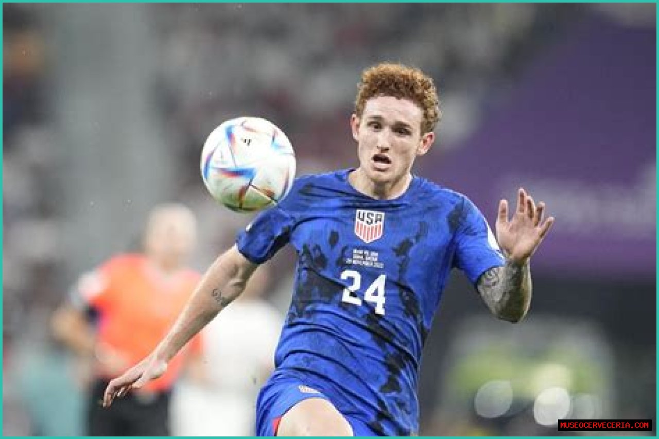 Josh Sargent (Soccer Player) - العمر ، تاريخ الميلاد ، السيرة الذاتية ، الحقائق ، الأسرة ، صافي الثروة ، الطول والمزيد