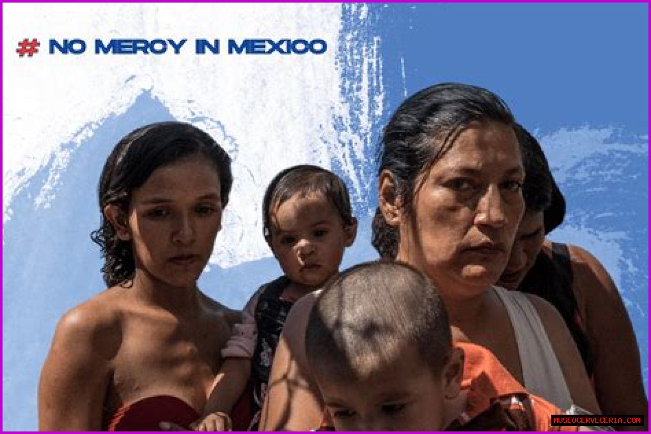 No Mercy In Mexico Tiktok