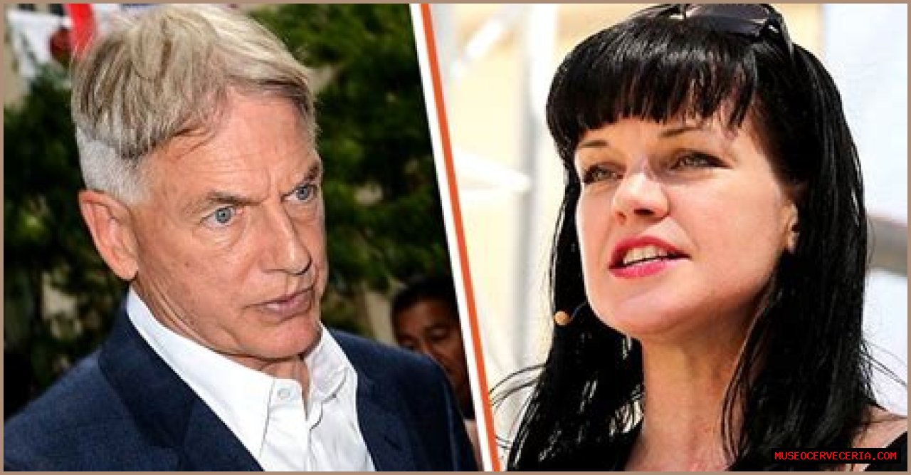 Pauley Perrette Felt 'Terrified' of Mark Harmon after Conflict over His Dog Escalated