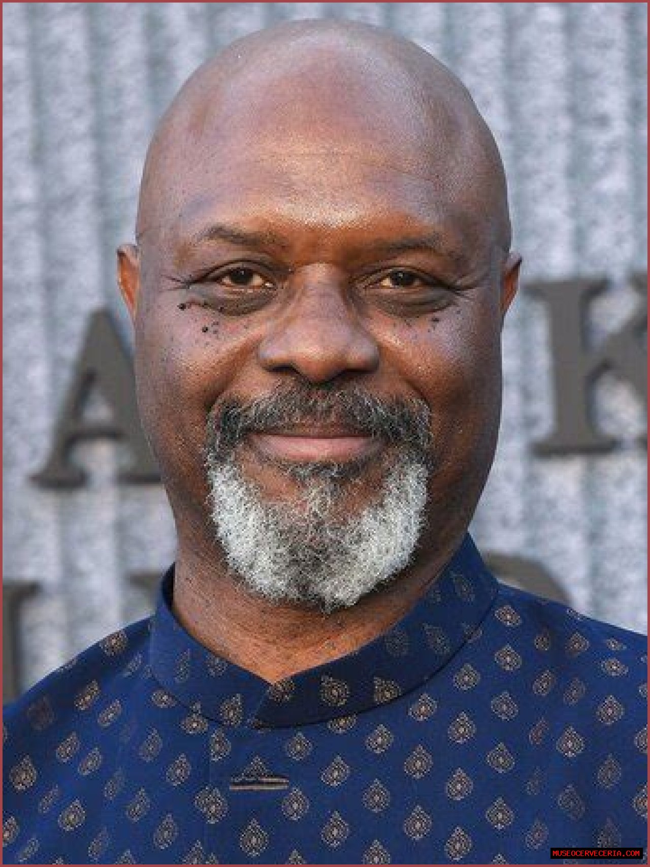 Robert Wisdom (TV Actor) - العمر ، تاريخ الميلاد ، السيرة الذاتية ، الحقائق ، الأسرة ، صافي الثروة ، الطول والمزيد