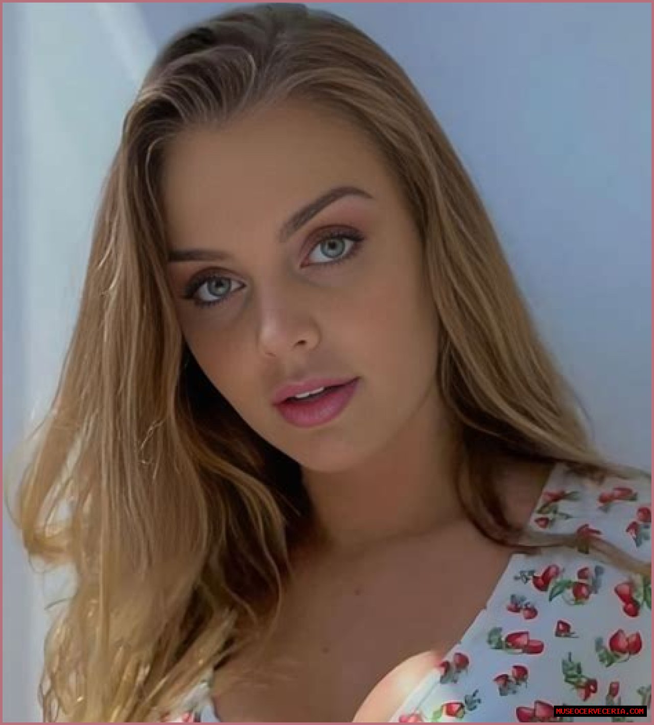 Sophia Hill (webvideostar) - Wikipedia, Age, Net Worth, Biography , Spotify, TikTok, Facebook, Facts and Family