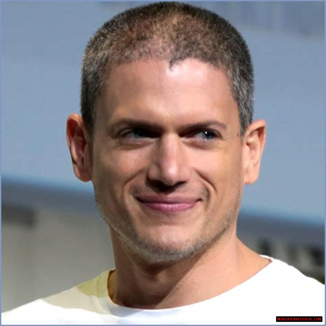 Wentworth Miller Net Worth, Income, Salary, Earnings, Biography