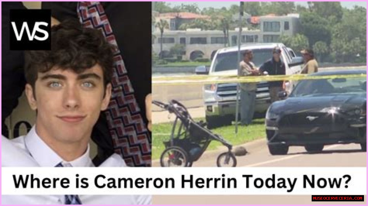 What did Cameron Herrin do and where is he now?