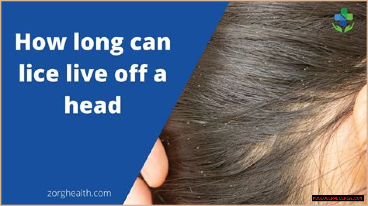 Will bleaching hair kill head lice?