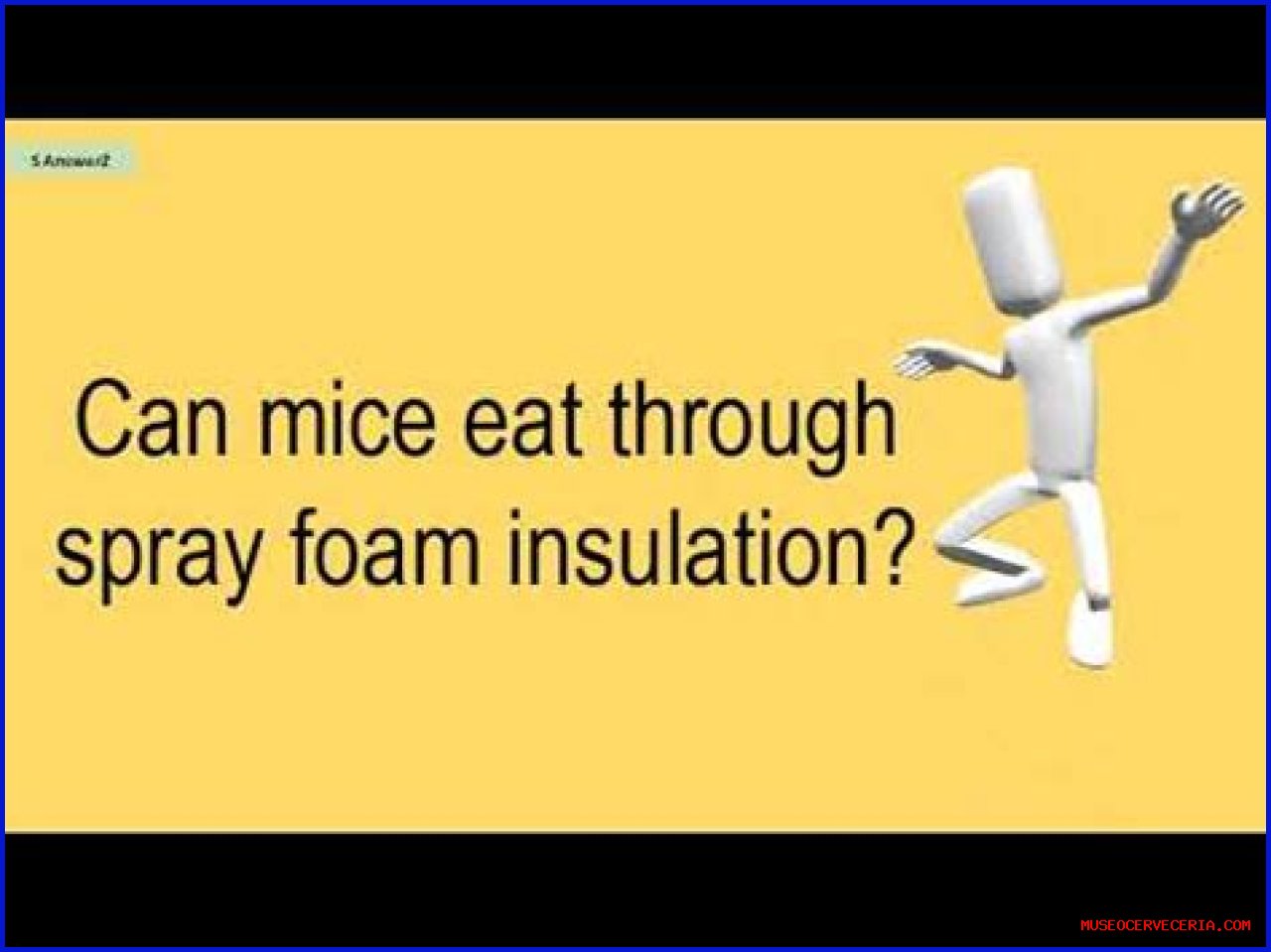 Will mice eat spray foam?